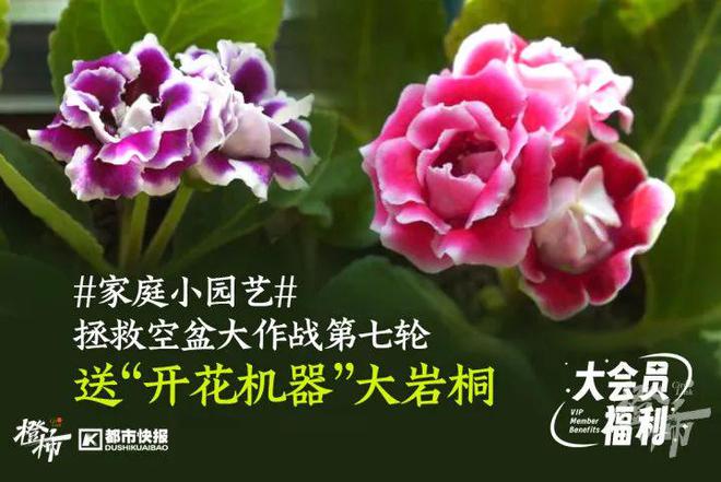 楼要几分钟？橙柿请你挑战自我凯发K8旗舰店APP爬60层(图11)